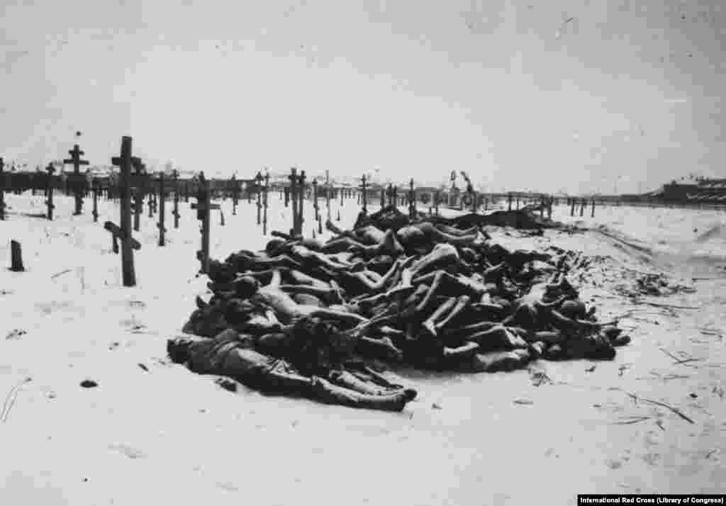 Тела жертв голода у кладбища в Самаре, 1921 год