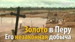 Золото убивает джунгли Перу