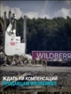 Будет ли правительство России спасать Wildberries от банкротства и компенсировать потери продавцов?