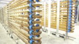 Как сделать корм для рыб из парникового газа