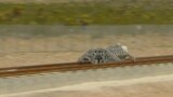 Первый тест технологии Hyperloop в Неваде, США