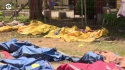 Новости. Коротко