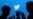 В Москве суд оштрафовал Twitter на 8,9 млн рублей за отказ удалить призывы к участию в акциях в поддержку Навального