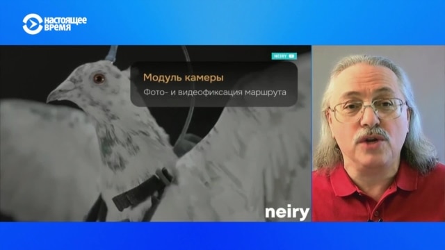 Зачем российским властям финансировать разработку голубей-дронов?