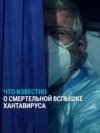 Хантавирус: что это такое и что мы знаем о его смертельной вспышке