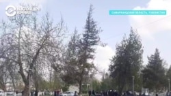 "Глава района, выходи!" Митинг баранов в Узбекистане