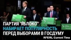 "Яблоко" начало набирать популярность в России после допуска к выборам. Есть ли у партии шансы?