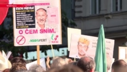 В Чехии тысячи протестующих требовали отставки премьер-министра
