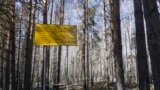 Эколог: "Если "Росатом" будет проводить работы по реабилитации – объяснит аварией 1957 года"