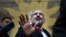 ARMENIA -- Acting Armenian Prime Minister Nikol Pashinian gestures as he leaves a polling station during an early parliamentary election in Yerevan, Armenia, Sunday, Dec. 9, 2018