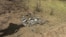 Drone crushed in Moldova 09/08/2026