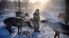 Расцвет "якутского болливуда". Как сибирское кино вытесняет голливудские блокбастеры