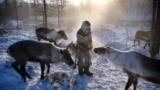 Russia -- photo for feature on people who work outside through winter in Yakutsk. February 2, 2018. 