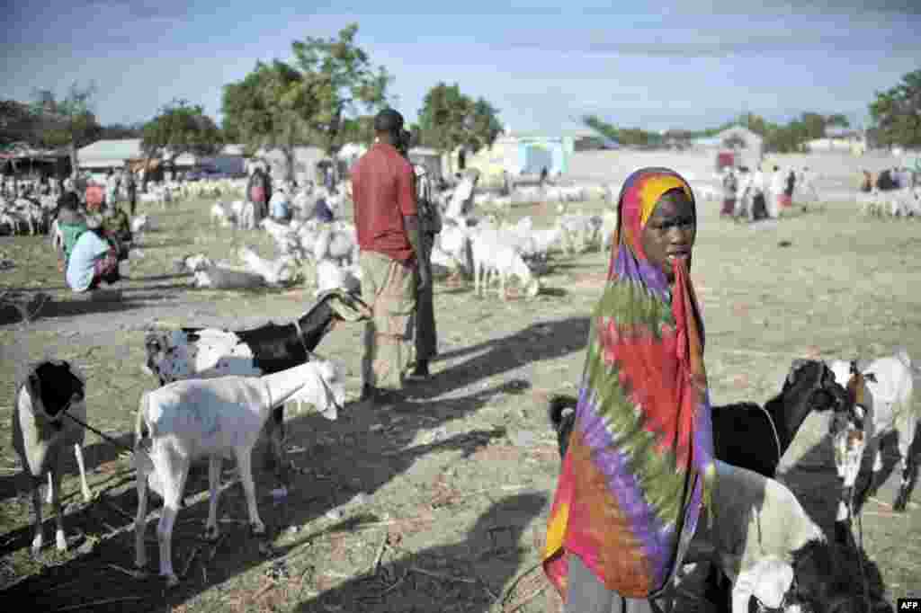 В Сомали популярны рынки, на которых продают коз и верблюдов. На фото &ndash; знаменитый рынок &quot;Бакара&quot; в Могадишо, столице Сомали. На нем неоднократно происходили бои между преступными группировками, здесь также оперируют фальшивомонетчики и торговцы нелегальным оружием