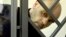 RUSSIA -- Andrei Pivovarov, the head of Open Russia movement, attends a court hearing in Krasnodar, June 2, 2021