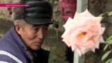 Киргизские розы - урок восточной романтики