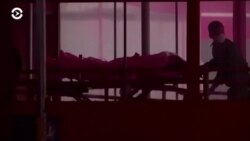 Новости. Коротко