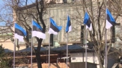 Парламентские выборы в Эстонии: чем отличаются программы лидеров предвыборной гонки