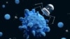 Наноботы атакуют раковые клетки