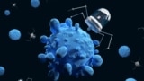 Наноботы атакуют раковые клетки