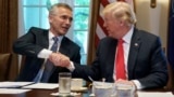 Открылся саммит НАТО: все спорные точки, которые будут обсуждать Трамп и союзники