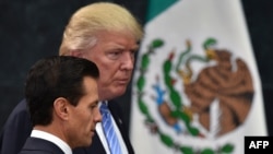 Дональд Трамп и президент Мексики Энрике Пенья Ньето