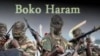ООН требует разоружения «Боко Харам»