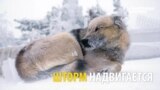 Качканарские буддисты против ковшей "Евраза": кто кого?