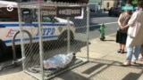 На улицах в Нью-Йорке появились клетки, в которых лежат "дети"
