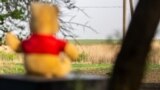 Ukraine -- Bear toy watching at fhe fild and village Piski at the Donetsk region, May2018