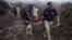 Guatemala -- Police officers carry a wounded man after the eruption of the Fuego Volcano, in El Rodeo village, Escuintla department, 35 km south of Guatemala City on June 3, 2018. / AFP PHOTO / NOE PEREZ