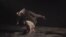 Russia, St. Petersburg, Upsala Circus screen grab