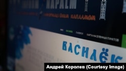 В рамках общеукраинского антивоенного проекта "Информнапалм" заработал интернет-ресурс "Василек"
