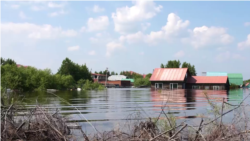 Как жители Приамурья переживают рекордное наводнение