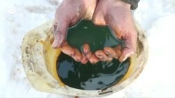 Новости. Коротко