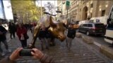 С Бродвея в Нью-Йорке хотят убрать скульптуру "Атакующего быка"