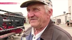 "Истории про поддержку села – сказки": российские фермеры массово жалуются на местные власти