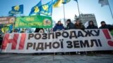 Тимошенко против "Слуги народа". Вечер с Тимуром Олевским