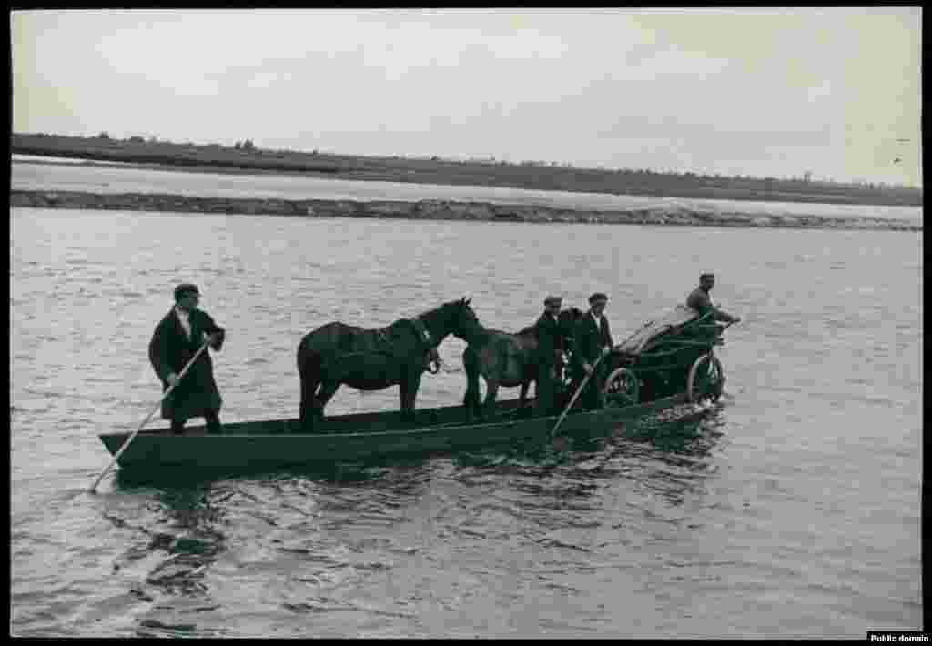 Крестьяне переправляют лошадей и скот через реку Припять в Брестской области