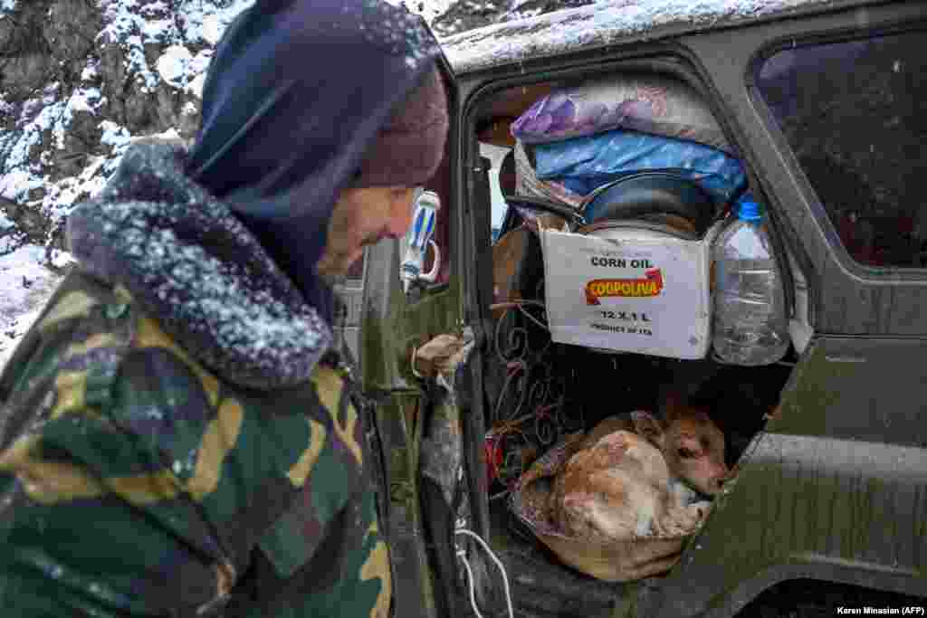A man shows a newborn calf in his car on a road outside of the town of Lachin (Berdzor) on November 29, 2020, two days before the town&#39;s return to Azerbaijan. With his vehicle stuffed with household items, he appears to be one of the many ethnic Armenians leaving the area for Armenia.&nbsp;