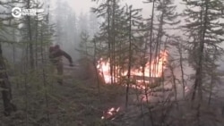 "Почему нет помощи?" Жители Якутии сами тушат лесные пожары