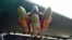 Бомбы, оборудованные JDAM