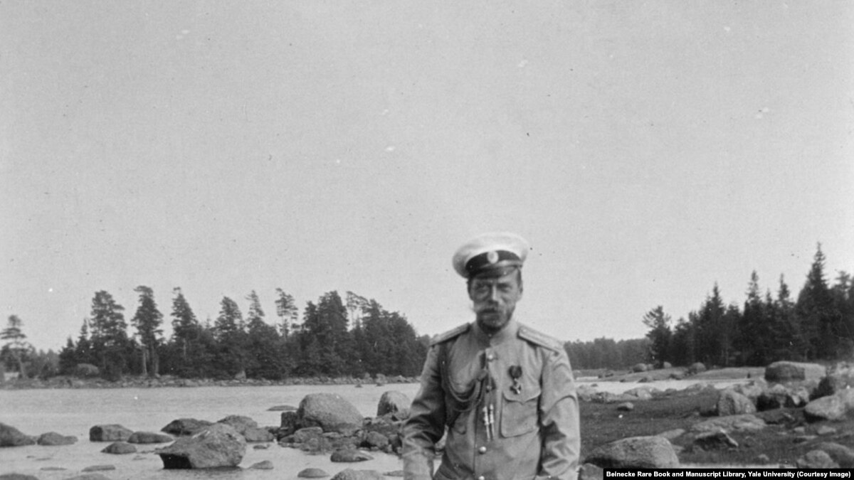 Как приготовить куриную лазанью в домашних условиях пошаговый рецепт Как приготовить куриную лазанью в домашних условиях пошаговый рецепт
