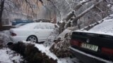 Страны Центральной Азии завалило снегом