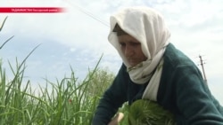 $60 в месяц: чиновники в Таджикистане считают, что это – "достаточная" зарплата