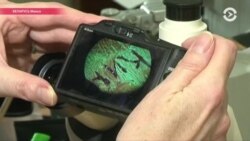 Настоящее Время. 26 января