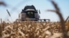 ФСБ и Налоговая служба провели обыски в крупных агрохолдингах 