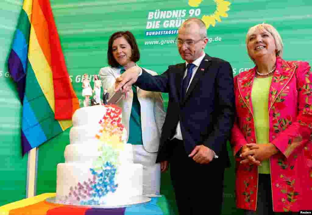 Представители Партии Зеленых отпраздновали принятие закона об однополых браках тортом&nbsp;