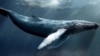 "Синий кит" или цензура – почему власти Казахстана хотят перенести серверы соцсетей 