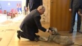 Звездные войны и сербский щенок. Вечер с Ириной Ромалийской